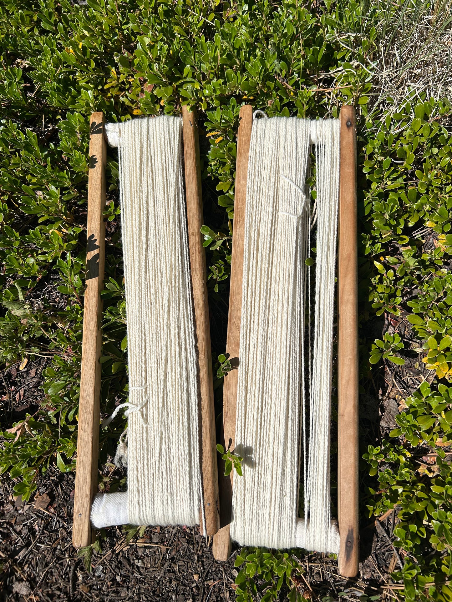 3 ply undyed Rambouillet